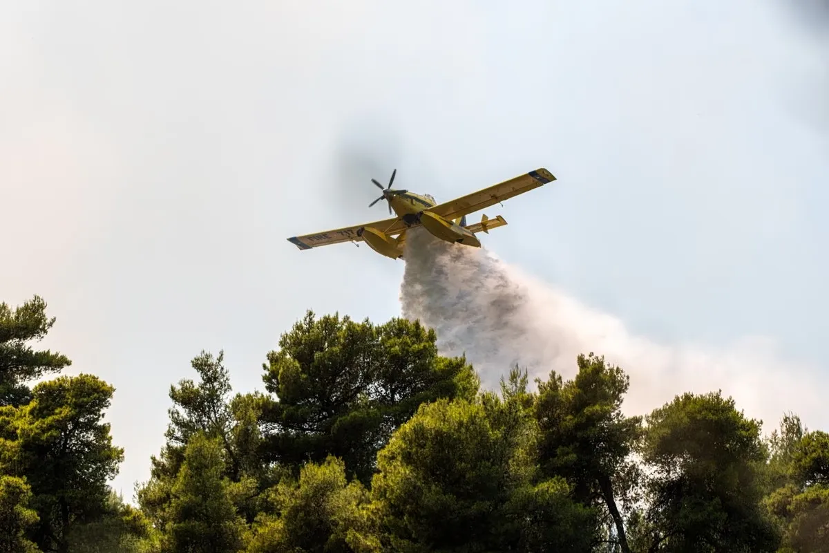 Πυροσβεστικό αεροσκάφος επιχειρεί σε δασική πυρκαγιά