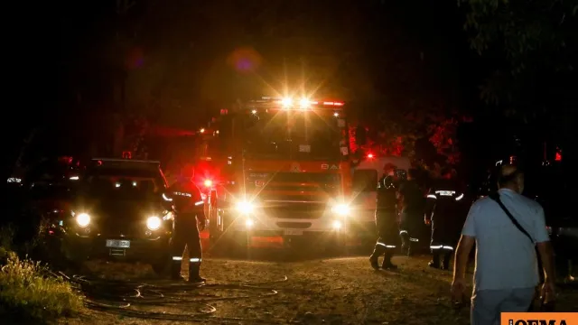 Πυροσβεστικά οχήματα επιχειρούν σε δασική φωτιά τη νύχτα