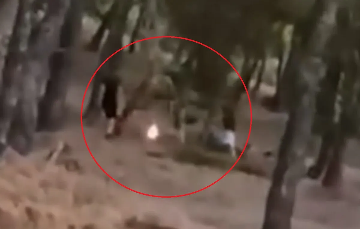 Πευκοδάσος στα Άνω Βριλήσσια όπου ανήλικοι έπαιξαν με φωτιά