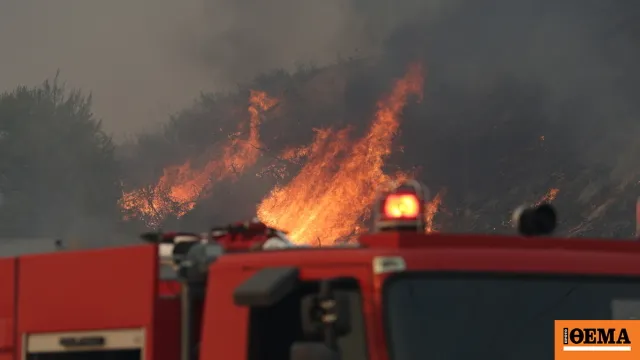 Αστυνομικοί συλλαμβάνουν δύο άνδρες στη Χαλκιδική