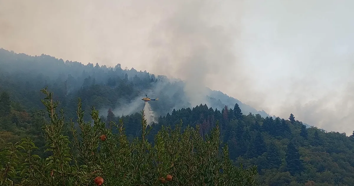 Πυροσβέστες επιχειρούν σε δασική πυρκαγιά στην Κόνιτσα