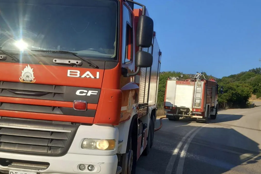 Πυροσβεστικά οχήματα επιχειρούν σε φωτιά στη Βοιωτία