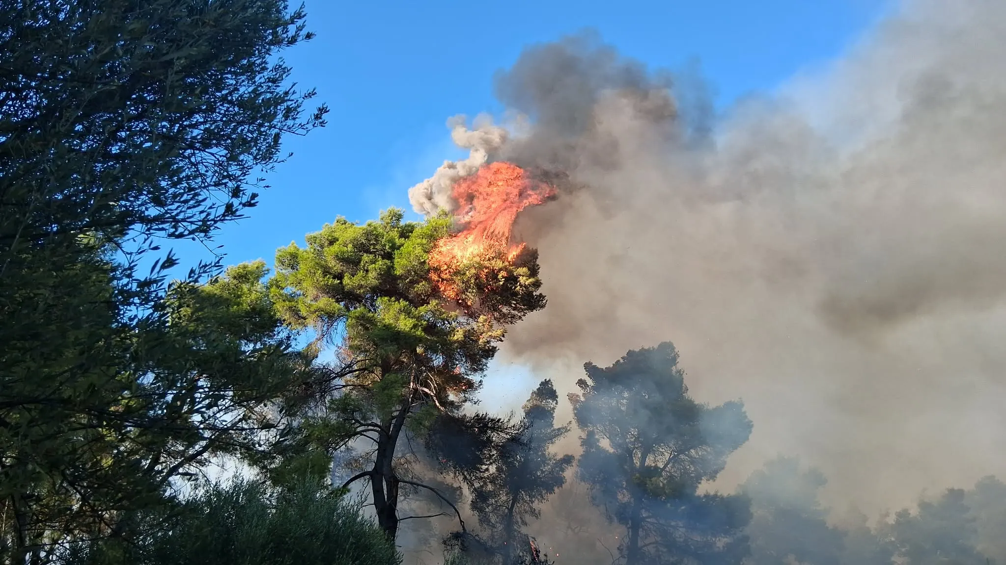 Πυροσβεστικά αεροσκάφη ρίχνουν νερό σε δασική φωτιά
