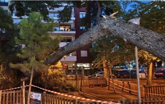 Αποκλεισμένο πάρκο μετά την πτώση δέντρου στην Καλαμαριά