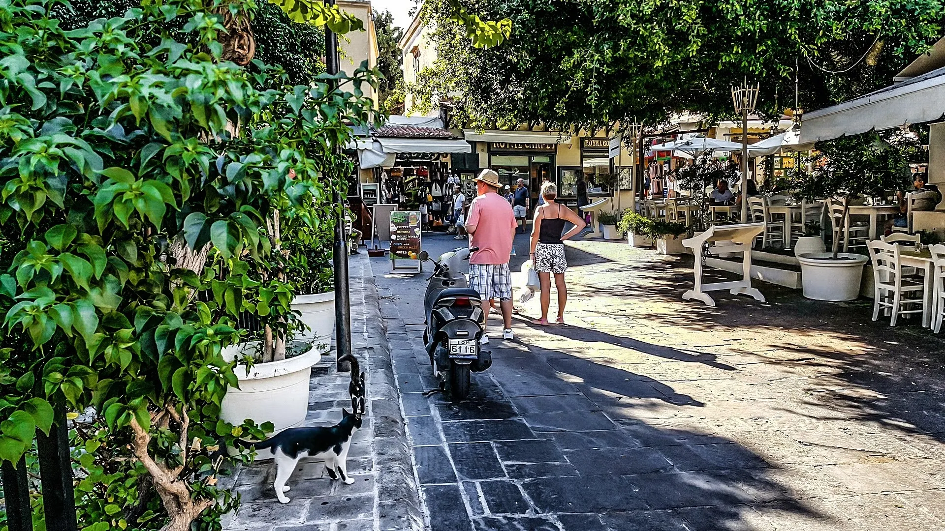 Μητσοτάκης, αλ Σίσι και Χριστοδουλίδης σε συνάντηση στο Ελ Αλαμέιν