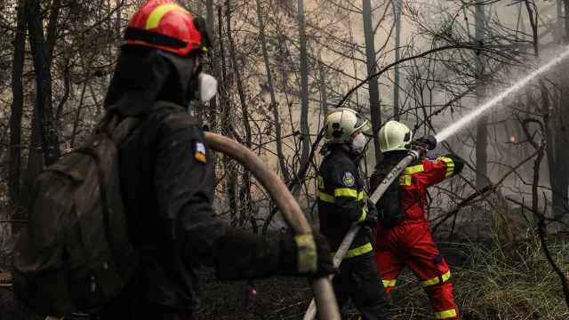 Χωρίς ενεργό μέτωπο η φωτιά στη Μακρυκάπα Εύβοιας