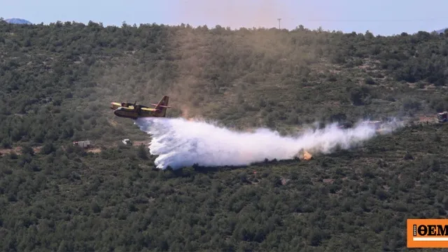 Πυροσβέστες επιχειρούν σε πυρκαγιά με αεροσκάφος