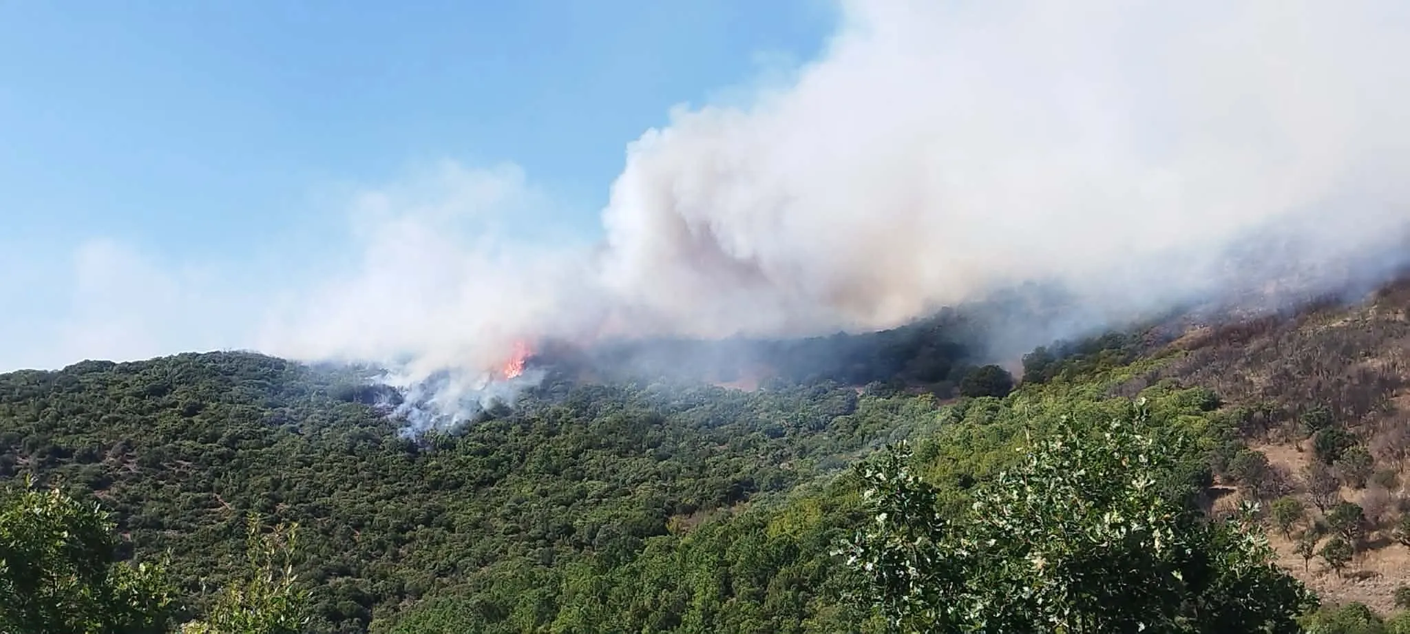 Πυροσβέστες μάχονται με πυρκαγιά στο Μπρατς Κροατίας