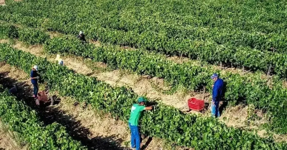 Μηδενικός φόρος για αγρότες και τρίτεκνους από τη ΔΕΘ