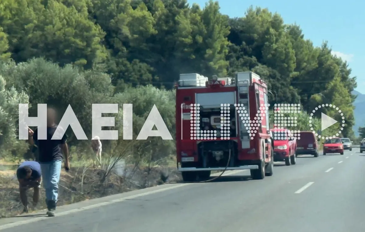 Πυροσβεστικά αεροσκάφη ρίχνουν νερό σε δασική πυρκαγιά