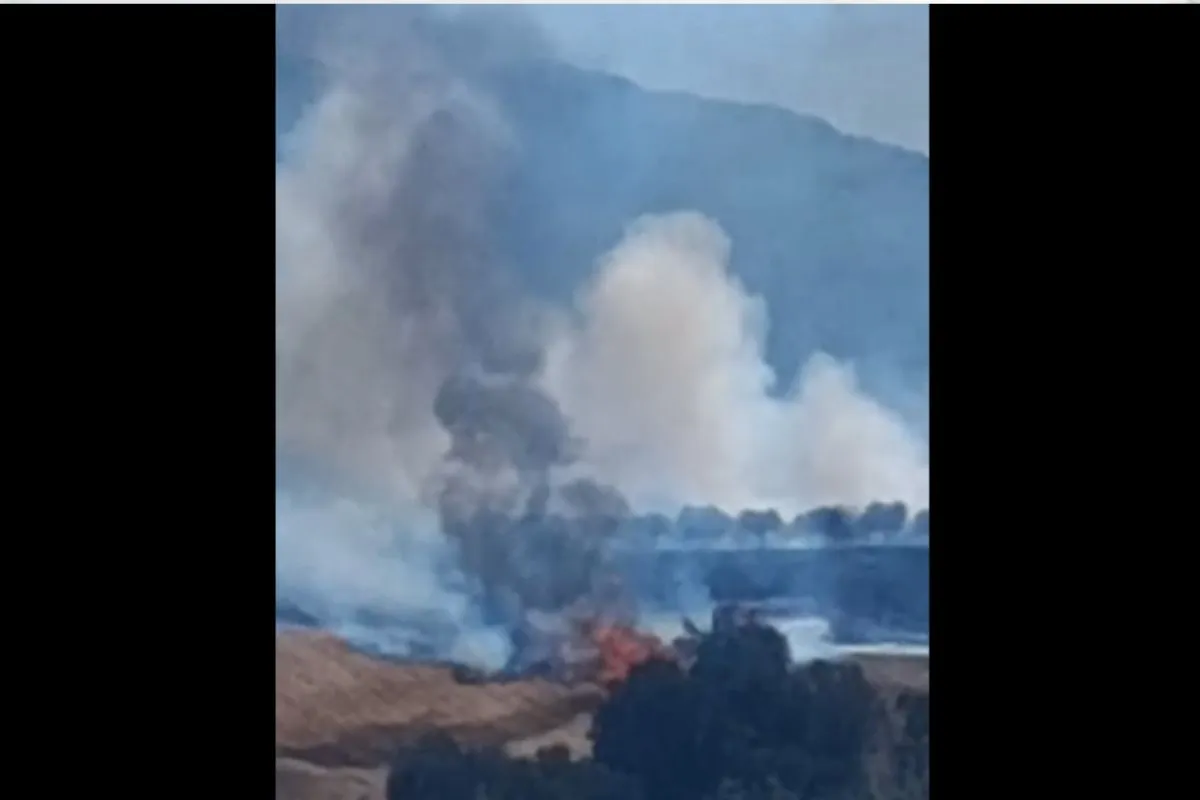 Πυροσβεστικά οχήματα επιχειρούν σε φωτιά στην Πηνεία Ηλείας