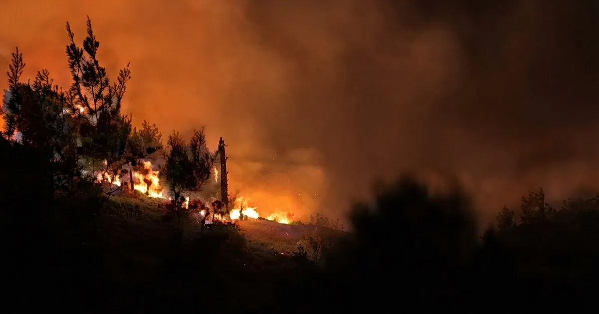 Πυροσβέστες κατασβήνουν φωτιά σε χαμηλή βλάστηση στη Λέσβο