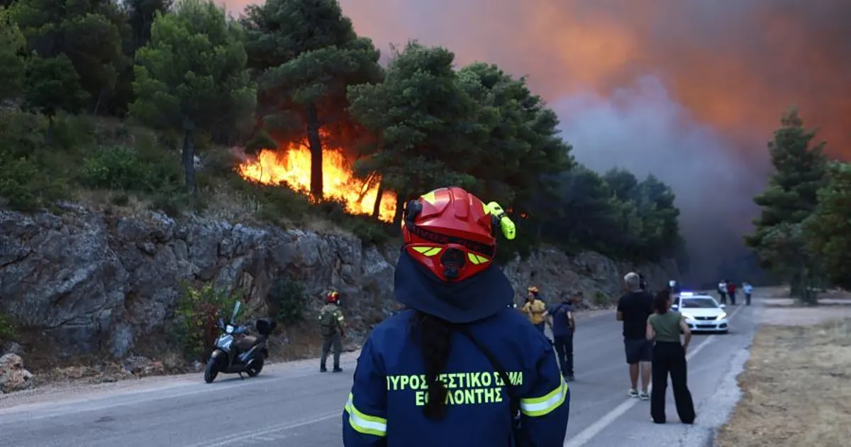 Πυροσβεστικά οχήματα επιχειρούν σε φωτιά στην Αχαΐα