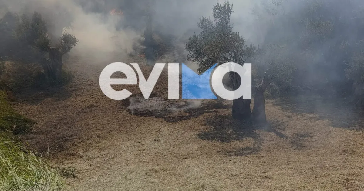 Ο 55χρονος συνελήφθη για τη φωτιά στην Κύμη Ευβοίας
