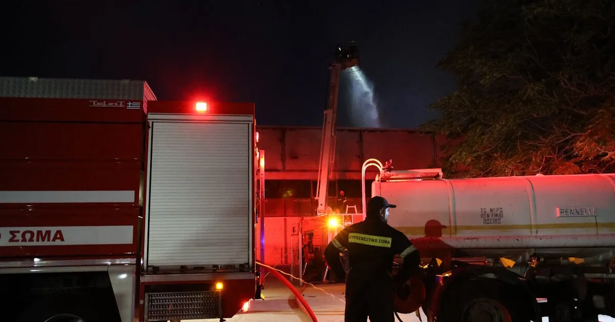 Πυροσβέστες επιχειρούν σε δασική φωτιά στα Ιωάννινα