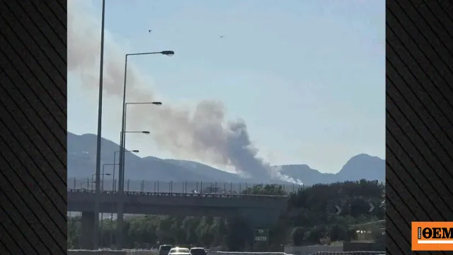 Πυροσβεστικά οχήματα επιχειρούν σε δασική πυρκαγιά στο Κανδήλι Μεγάρων