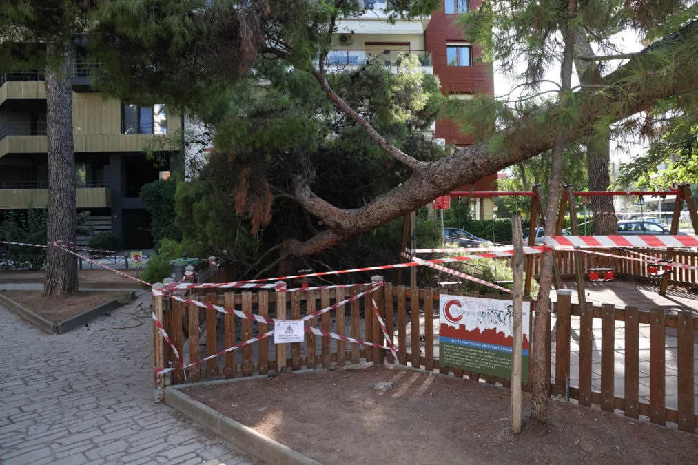 Αποκλεισμένο πάρκο μετά την πτώση δέντρου στην Καλαμαριά