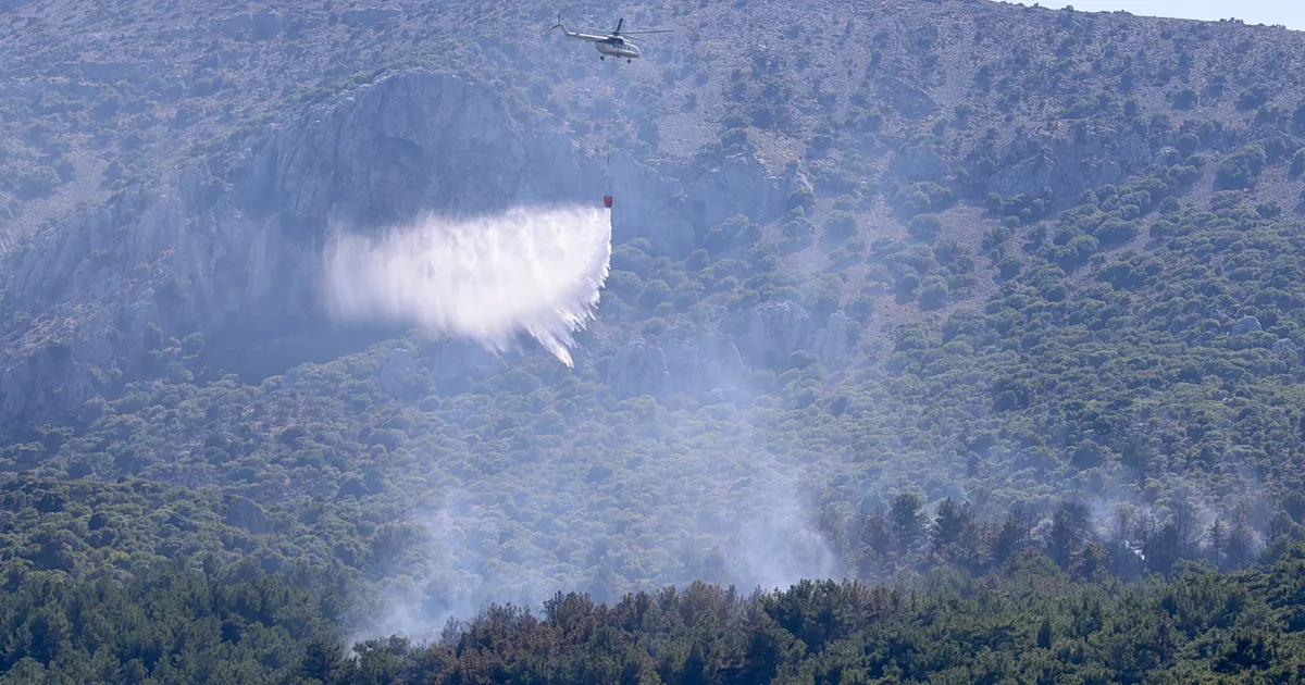 Πυροσβεστικό αεροσκάφος ρίχνει νερό σε φωτιά σε χαμηλή βλάστηση