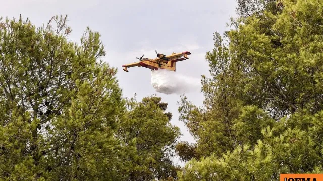 Η φωτιά στη Σκιλλουντία Ηλείας: 45 πυροσβέστες σε μάχη