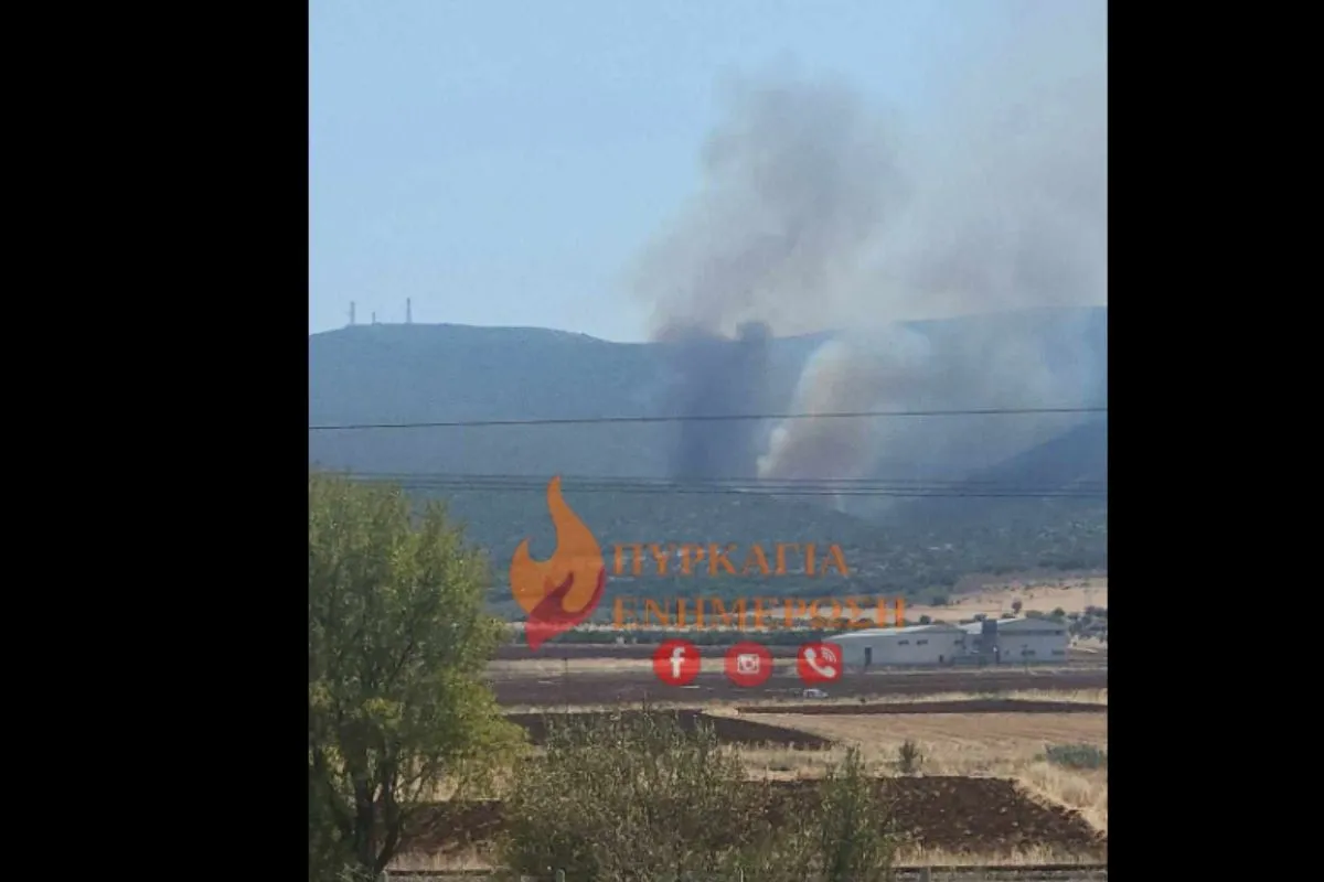 Πυροσβεστικό αεροσκάφος ρίχνει νερό σε φωτιά σε χαμηλή βλάστηση