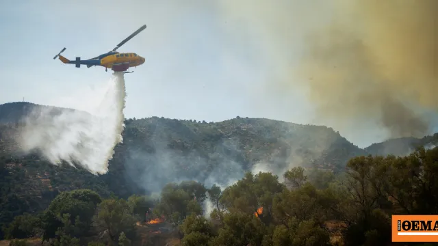 Πυρκαγιά σε δασική έκταση, σύμβολο κινδύνου πυρκαγιάς