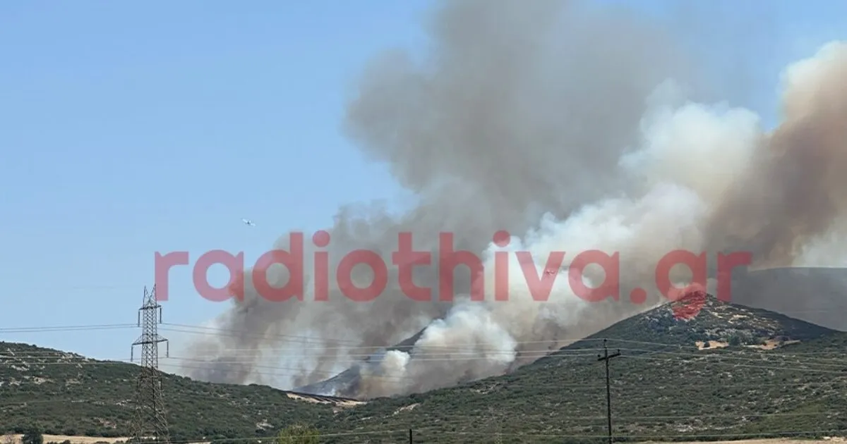 Πυροσβεστικό αεροσκάφος ρίχνει νερό σε φωτιά σε χαμηλή βλάστηση