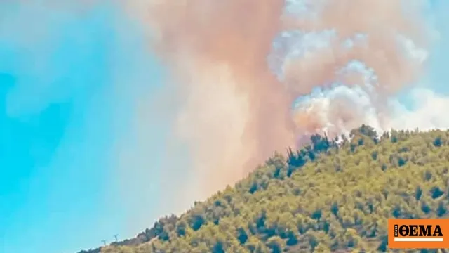 Πυκνός καπνός από τη συντριβή του Phantom στην Τανάγρα