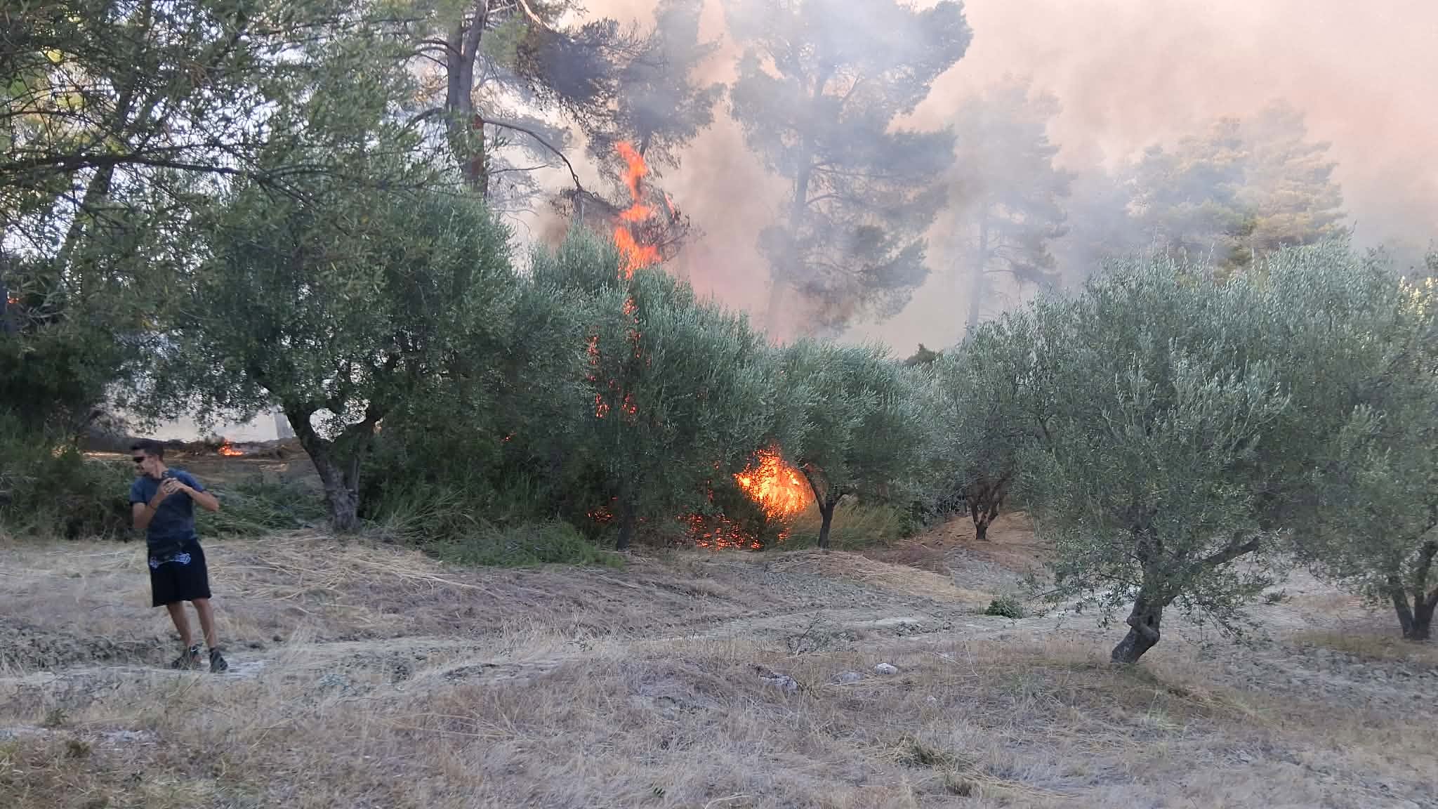 Πυροσβεστικό αεροσκάφος ρίχνει νερό σε πυρκαγιά στη Ζάκυνθο