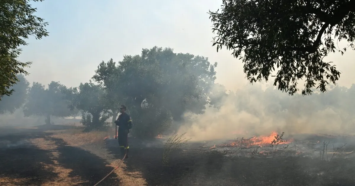 Πυροσβέστες επιχειρούν σε φωτιά με χαμηλή βλάστηση