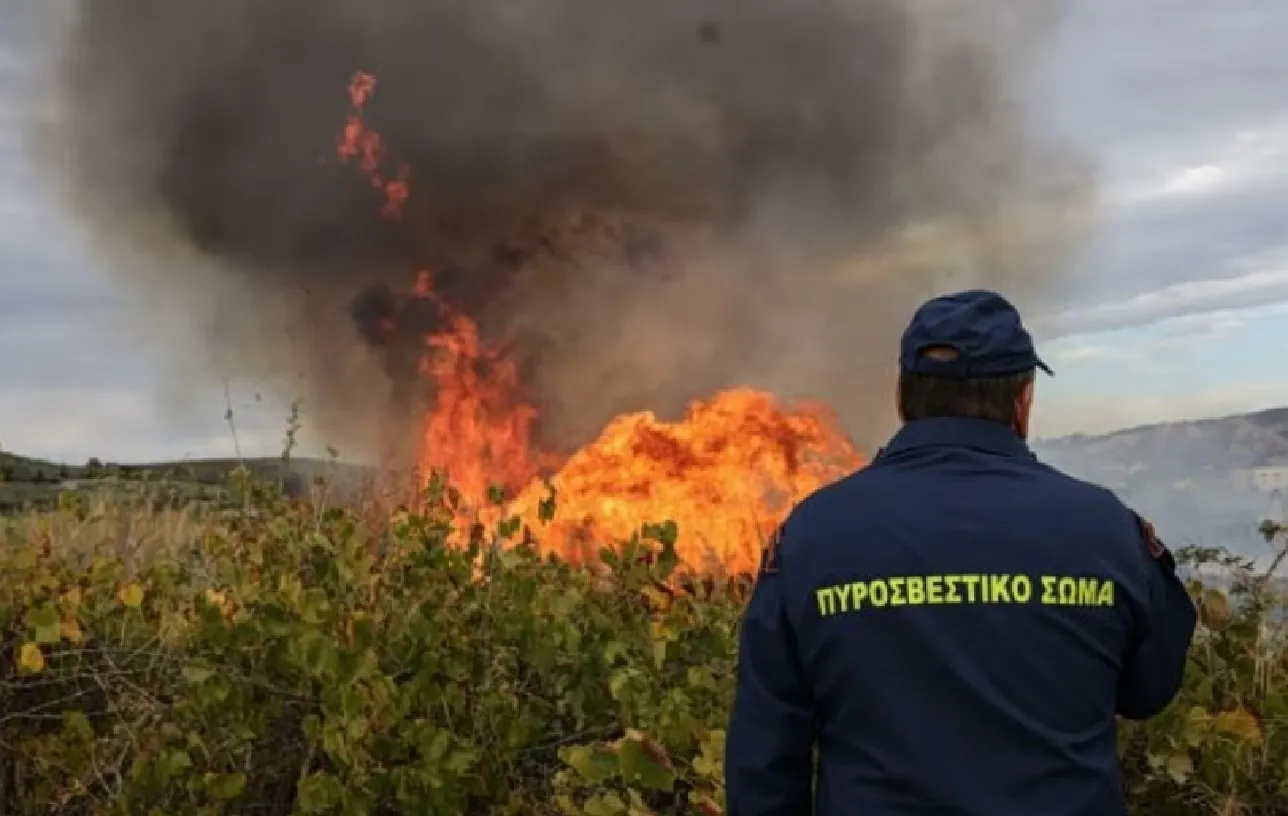Πυροσβεστικά αεροσκάφη ρίχνουν νερό σε πυρκαγιά