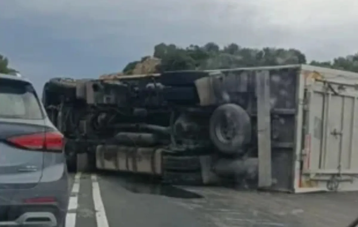 Ανατραμμένη νταλίκα με γουρούνια στον ΒΟΑΚ στις Σισές