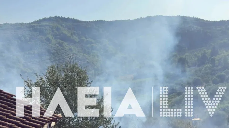 Η Ηλεία στις φλόγες: Πύρινος εφιάλτης στο Χειμαδιό