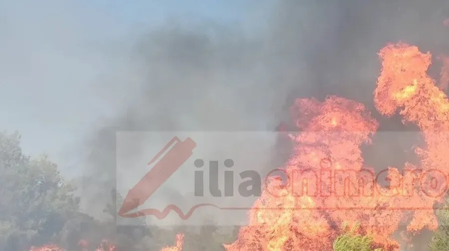 Φωτιά στα Διάσελλα Ηλείας: Απειλούνται σπίτια χωριού
