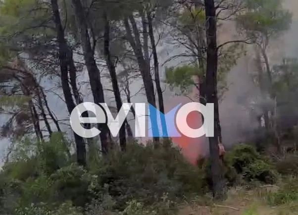 Η φωτιά στην Εύβοια: Κεραυνός χτύπησε στον Άγιο Αθανάσιο