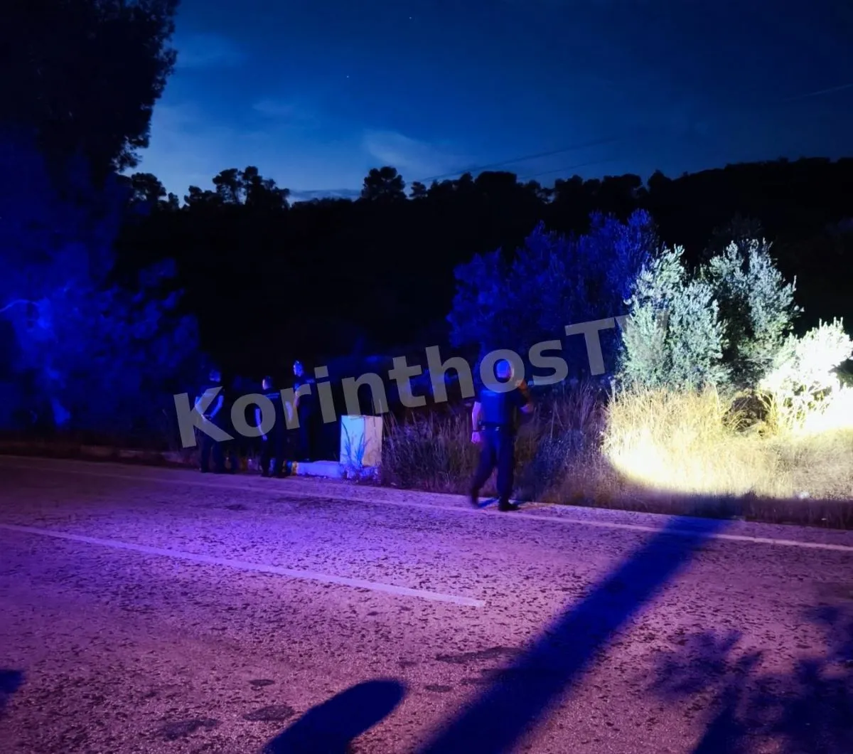 Αστυνομικές δυνάμεις ερευνούν δάσος στην Αλμυρή Κορινθίας