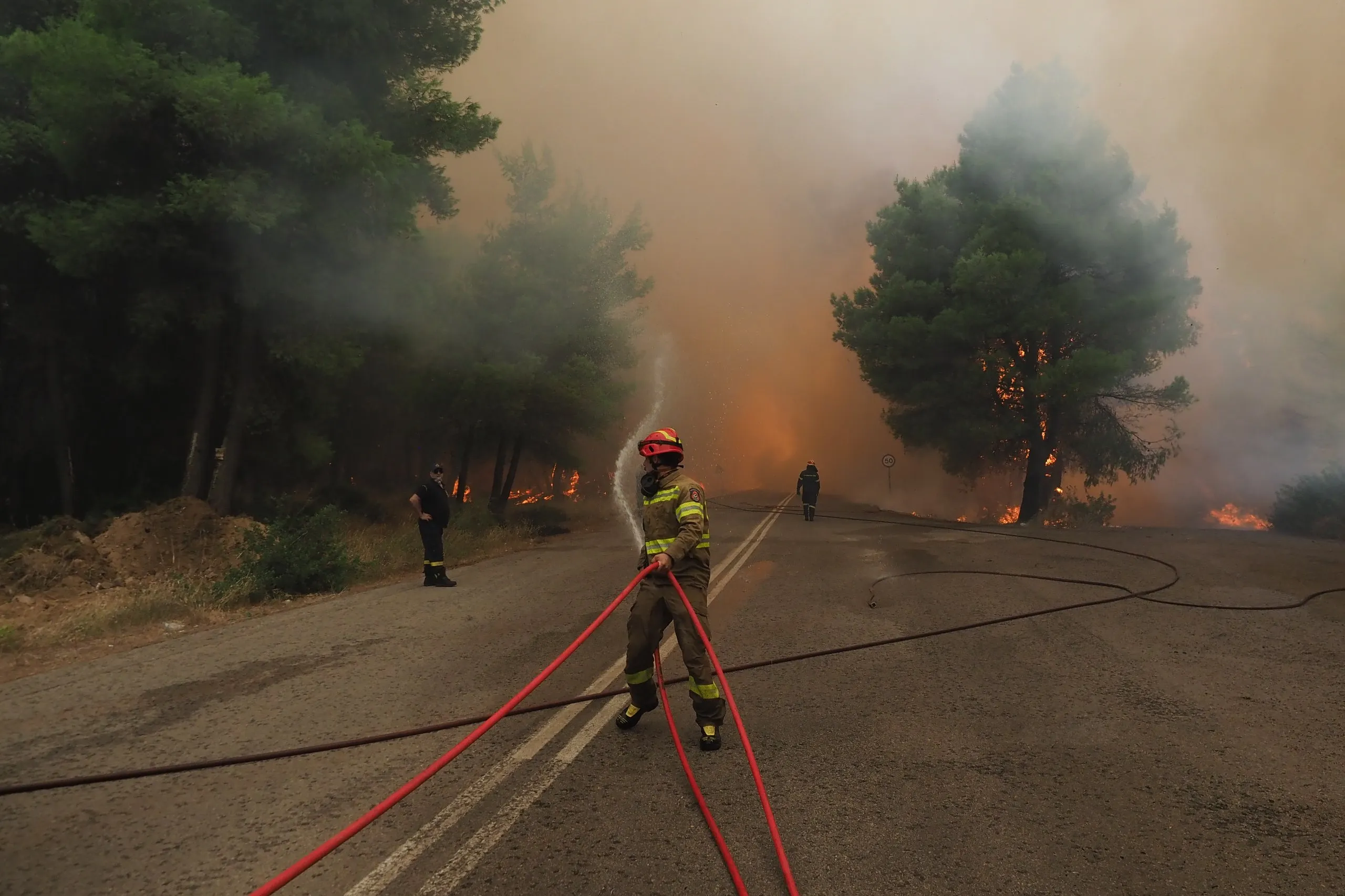 Πυροσβέστες επιχειρούν στη φωτιά στη Μακρυκάπα Εύβοιας