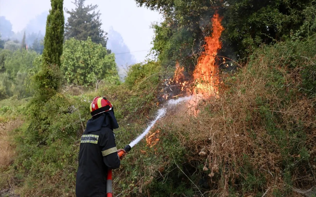 Πυροσβεστικό αεροσκάφος επιχειρεί σε φωτιά στον Παλαμά Καρδίτσας