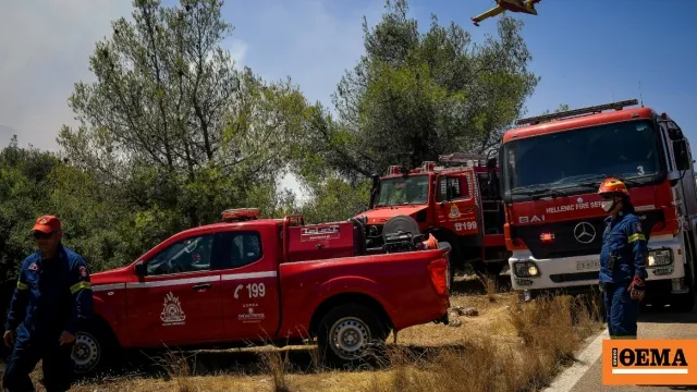 Πυροσβέστες κατασβήνουν φωτιά σε χαμηλή βλάστηση στα Σπάτα