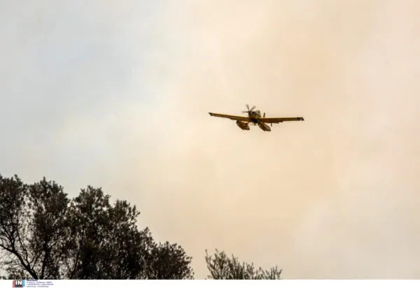 Πυροσβεστικό αεροσκάφος επιχειρεί σε φωτιά στον Παλαμά Καρδίτσας