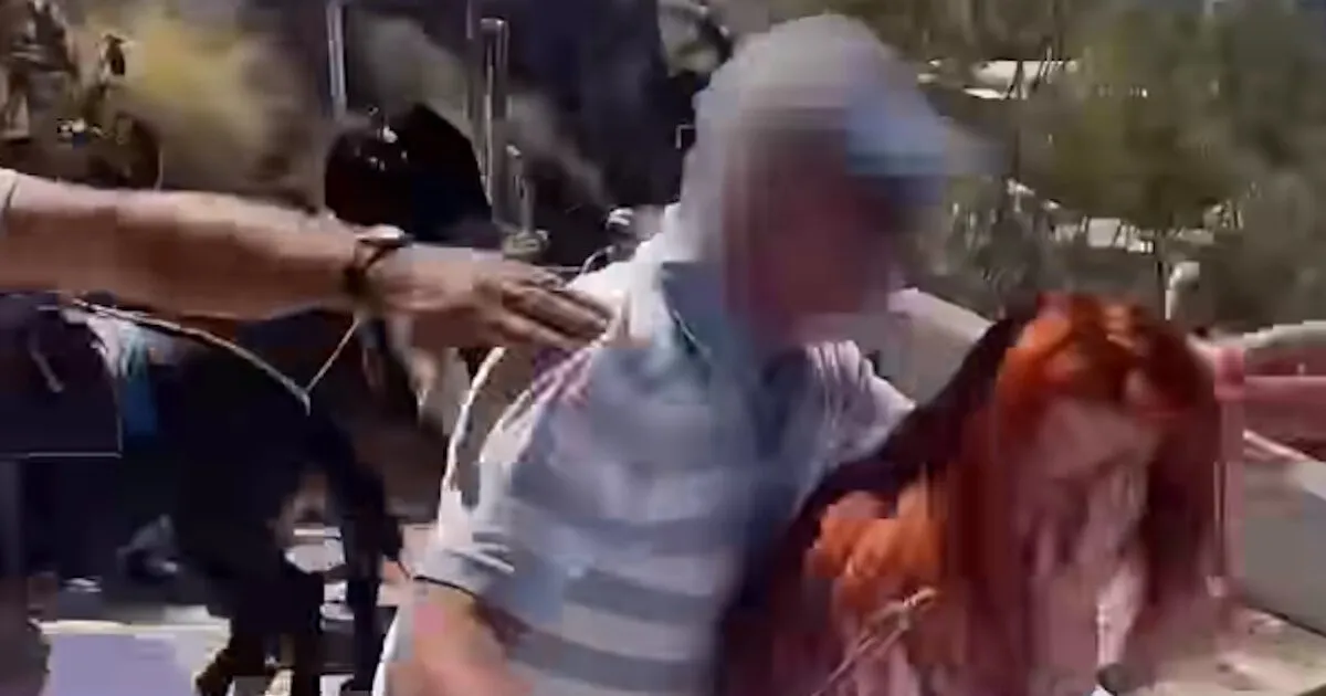 Ακτιβίστριες της PETA στις σκάλες της Σαντορίνης
