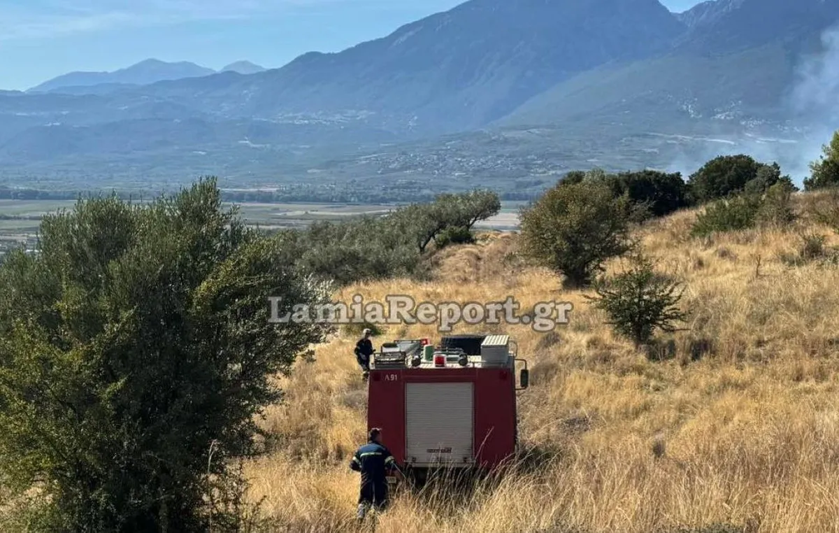 Πυροσβεστικό ελικόπτερο επιχειρεί σε φωτιά στη Λαμία