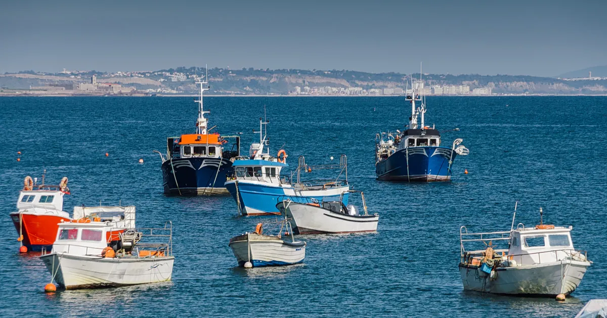 Αλιευτικά σκάφη δεμένα σε λιμάνι της Ελλάδας