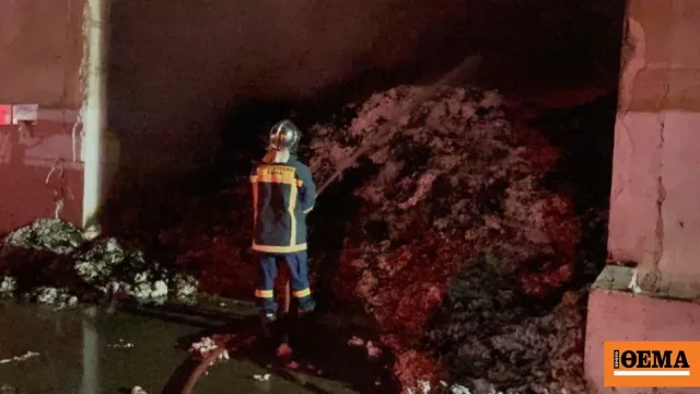 Πυροσβέστες επιχειρούν σε δασική πυρκαγιά
