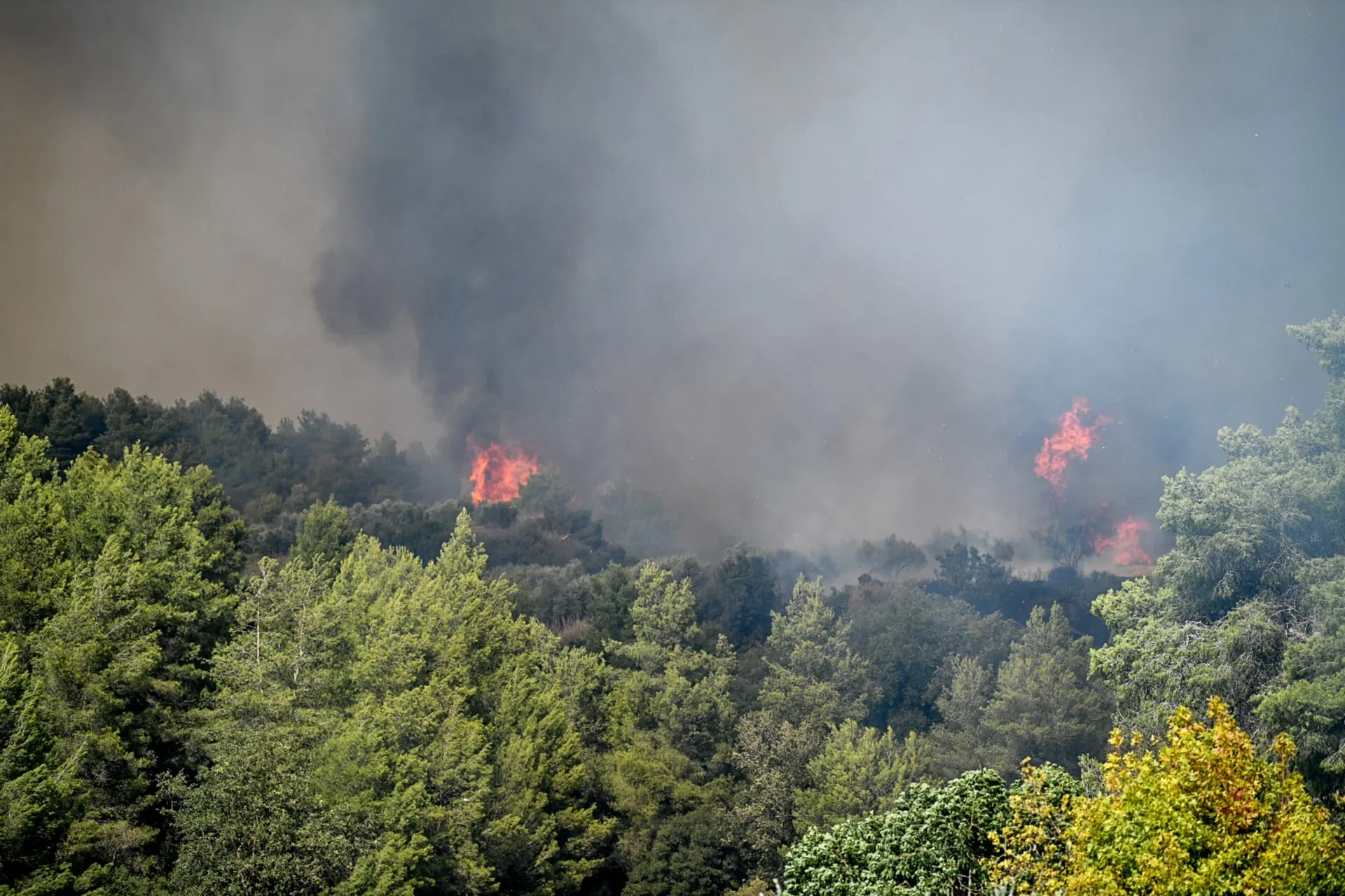 Πυροσβέστες επιχειρούν σε δασική πυρκαγιά στην Καστοριά